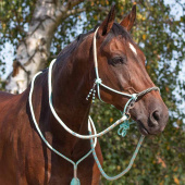 Halter z liną z wodzami Combi Liberty Jasnozielony Halter z liną z wodzami Combi Liberty Jasnozielony