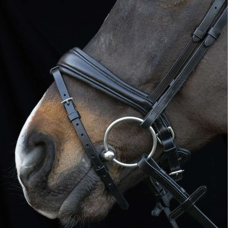Ogłowie ujeżdżeniowe Charleston Czarne