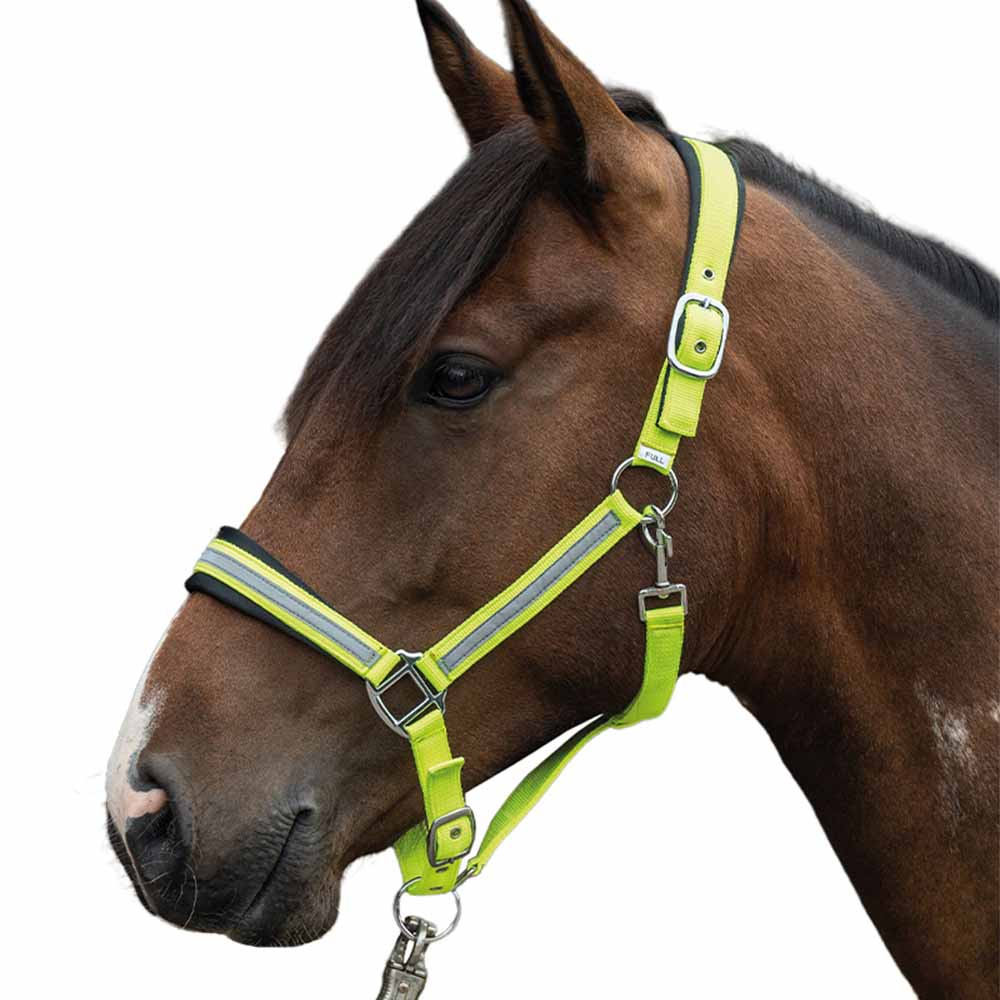 Ogłowie odblaskowe Żółto/Srebrne