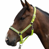 Ogłowie odblaskowe Żółto/Srebrne Ogłowie odblaskowe Żółto/Srebrne