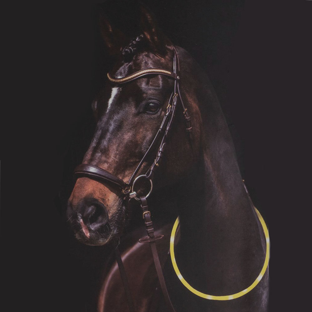 Kołnierz do derki LED Żółty