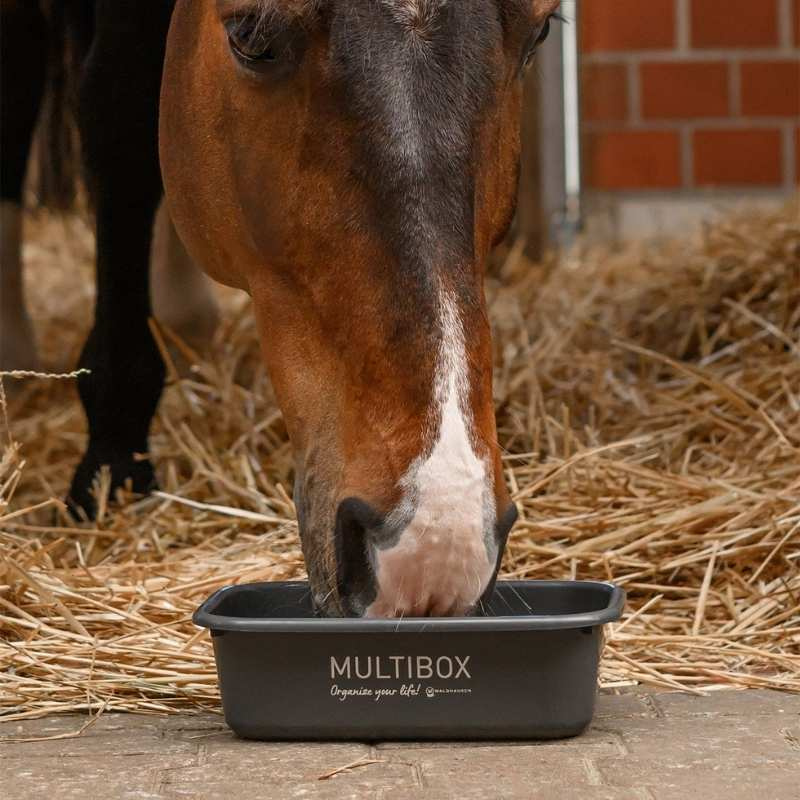 Multibox z pokrywką 3L Szary