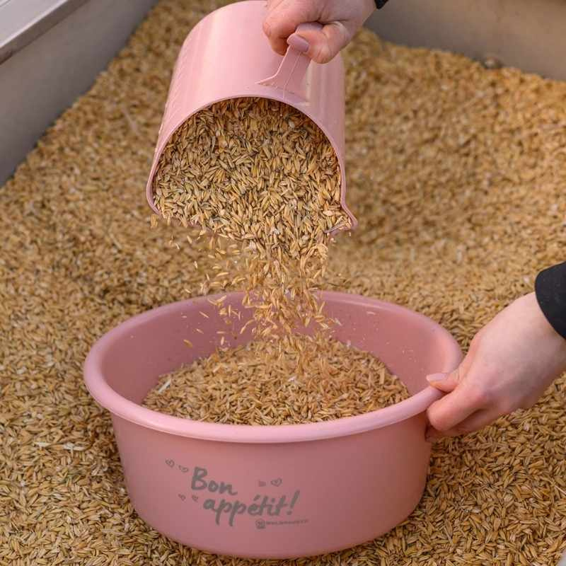 Miska na paszę z pokrywką 5L Różowa