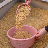 Miarka do paszy 0,5L Różowa Miarka do paszy 0,5L Różowa
