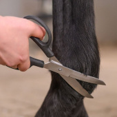 Nożyczki Fetlock Shears Bend Czarne Nożyczki Fetlock Shears Bend Czarne