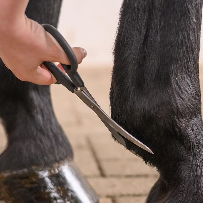Nożyczki Fetlock Shears Bend Czarne