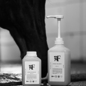 Szampon Codzienny Oryginalny 00.01 Szampon Codzienny Oryginalny 00.01