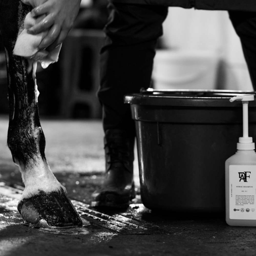 Szampon Everyday Original 00.01