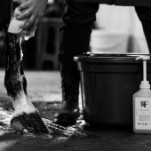 Szampon Codzienny Oryginalny 00.01 Szampon Codzienny Oryginalny 00.01