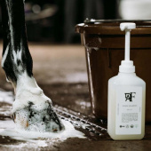 Szampon Codzienny Oryginalny 00.01 Szampon Codzienny Oryginalny 00.01