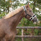Kaweson Sztuczne futro Czarny Kaweson Sztuczne futro Czarny