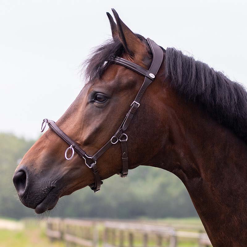 Kaweson Skórzany Brązowy