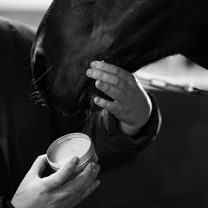 Maść Survival Balm 00.02