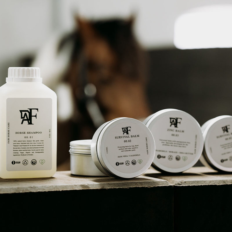 Maść Survival Balm 00.02