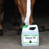 Kwas Hialuronowy 100 Kwas Hialuronowy 100