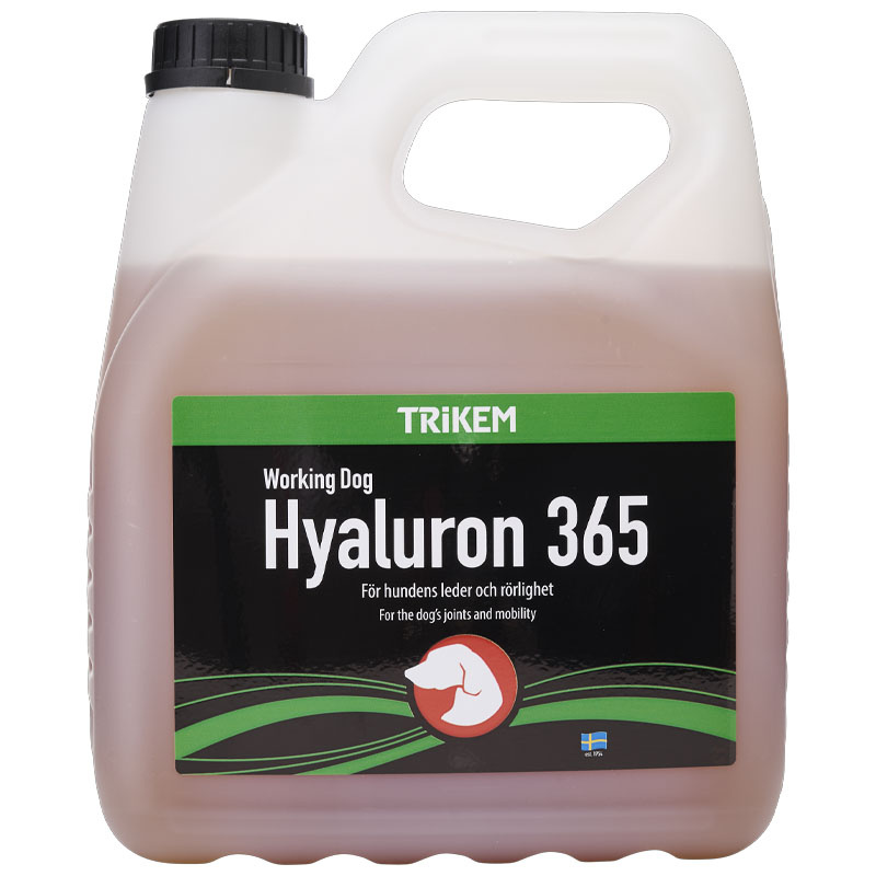 WD Kwas Hialuronowy 365