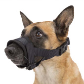 Nagłowie z Klamrami Czarne Nagłowie z Klamrami Czarne