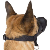 Nagłowie z Klamrami Czarne Nagłowie z Klamrami Czarne