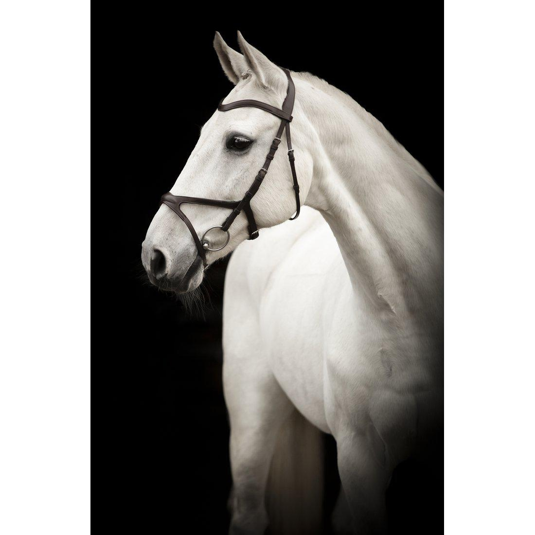 Ogłowie Arthur czarne