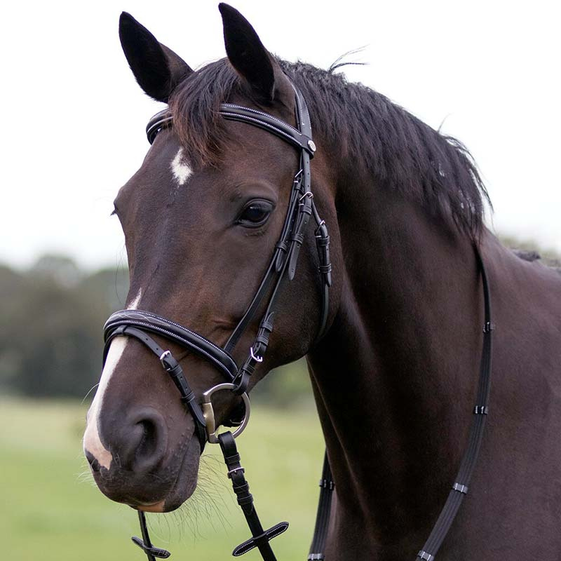 Ogłowie anatomiczne Luxury Stitched Czarne