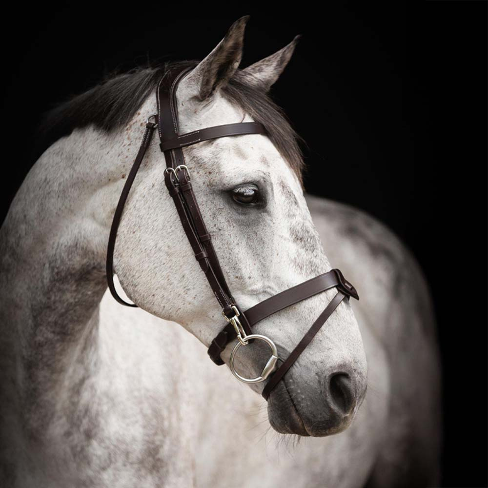 Ogłowie Trainer Basic Ciemny brąz