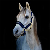 Ochrzan Werano niebieski Ochrzan Werano niebieski