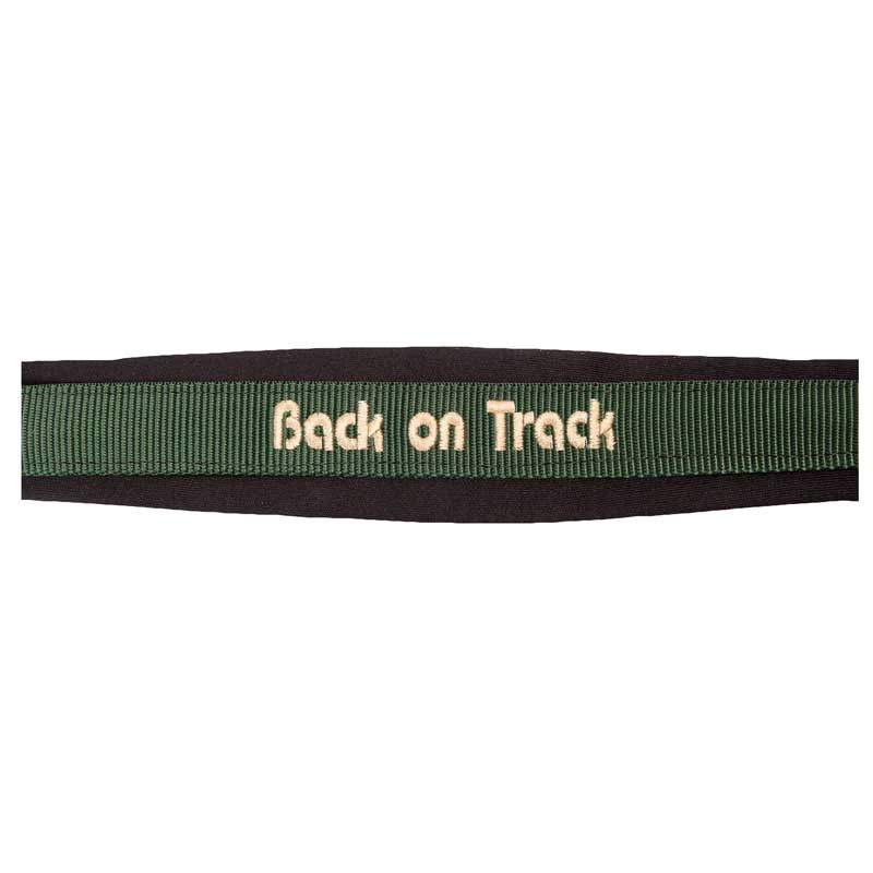 Kantar Werano Zielony