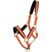 Kantar Werano Pomarańczowy Kantar Werano Pomarańczowy