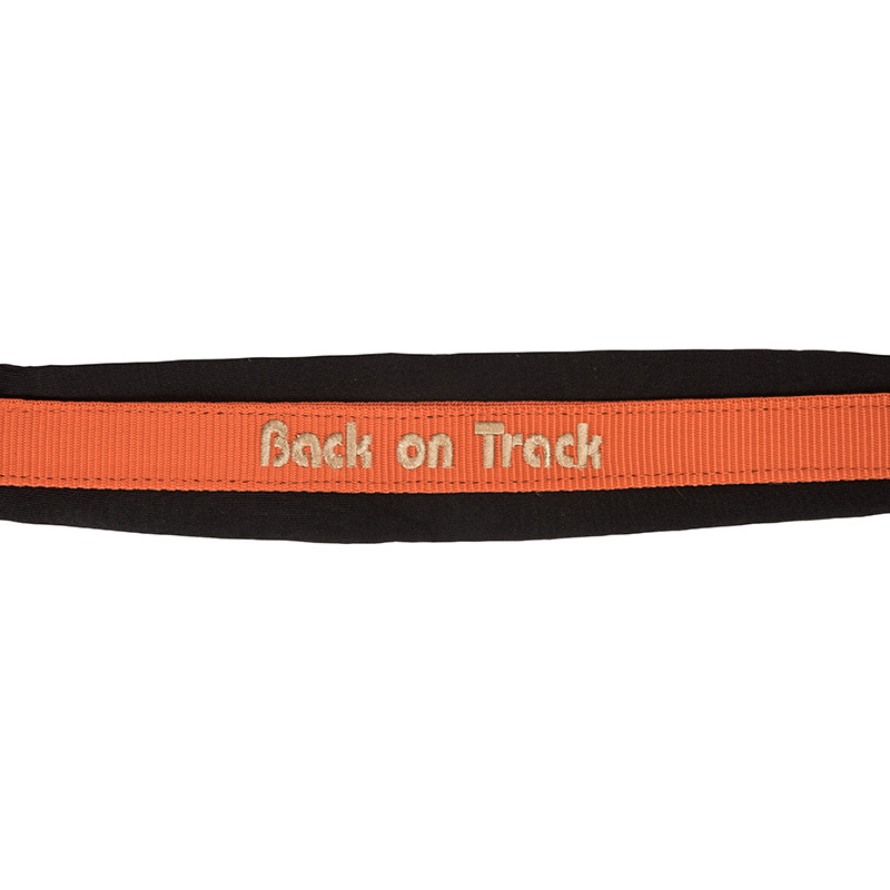 Kantar Werano Pomarańczowy