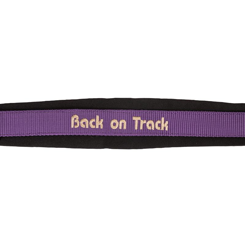 Kantar Werano Fioletowy