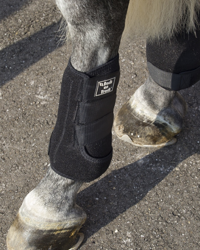 Ochraniacze robocze Royal