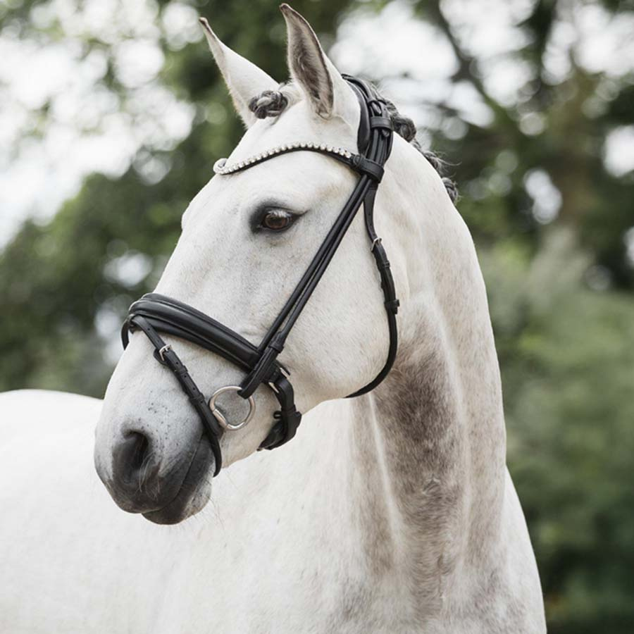 Ogłowie Ujeżdżeniowe Caselle Supreme Czarne