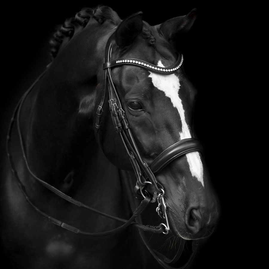 Ogłowie Bezwędzidłowe Delicato Supreme Czarne