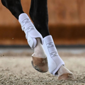 Ochraniacze ujeżdżeniowe Absolute Rear Elastic Białe Ochraniacze ujeżdżeniowe Absolute Rear Elastic Białe