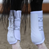 Ochraniacze ujeżdżeniowe Absolute Rear Elastic Białe Ochraniacze ujeżdżeniowe Absolute Rear Elastic Białe