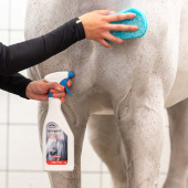 Suchy szampon Easy White 500ml Suchy szampon Easy White 500ml