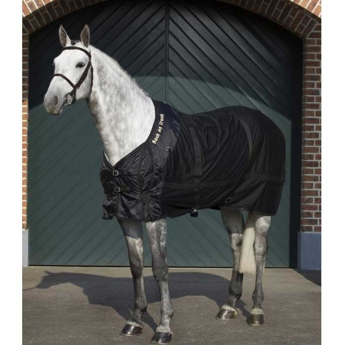 Derka siatkowa Czarna