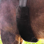 Nakładka na popręg Lambskin Czarna Nakładka na popręg Lambskin Czarna