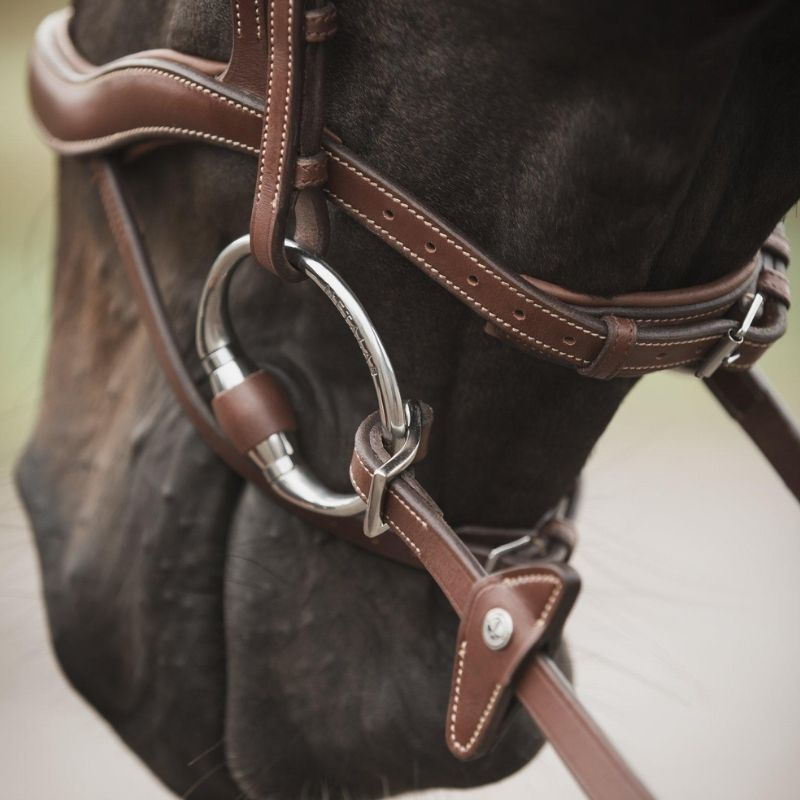 Wodze gumowe ze stoperami Eccelente Buckle Loop Brązowe