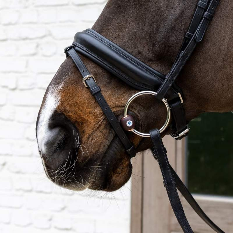 Wędzidło Flex kółkowe Hard 20mm