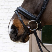 Wędzidło Flex kółkowe Hard 20mm Wędzidło Flex kółkowe Hard 20mm