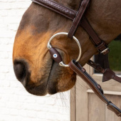 Wędzidło oliwkowe Flex Hard 20mm Wędzidło oliwkowe Flex Hard 20mm