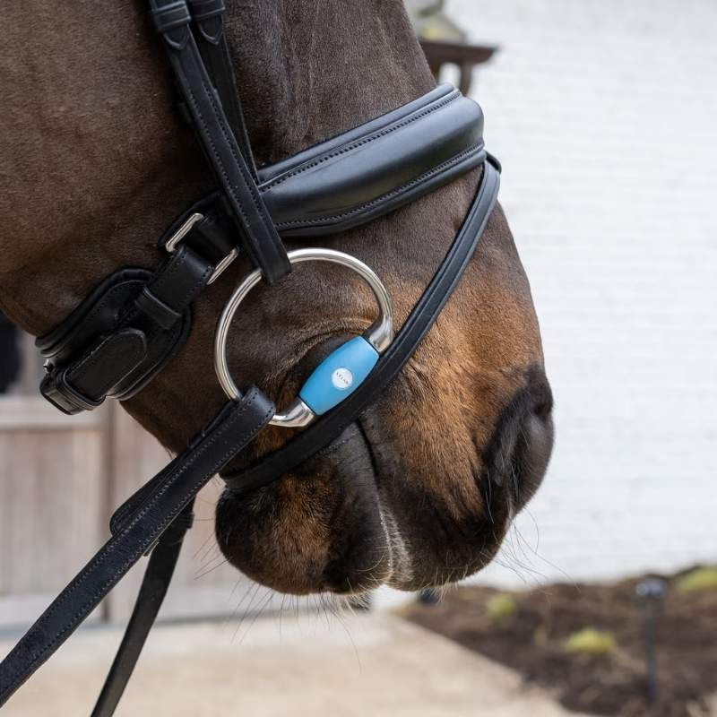 Wędzidło oliwkowe Flex Medium 20mm