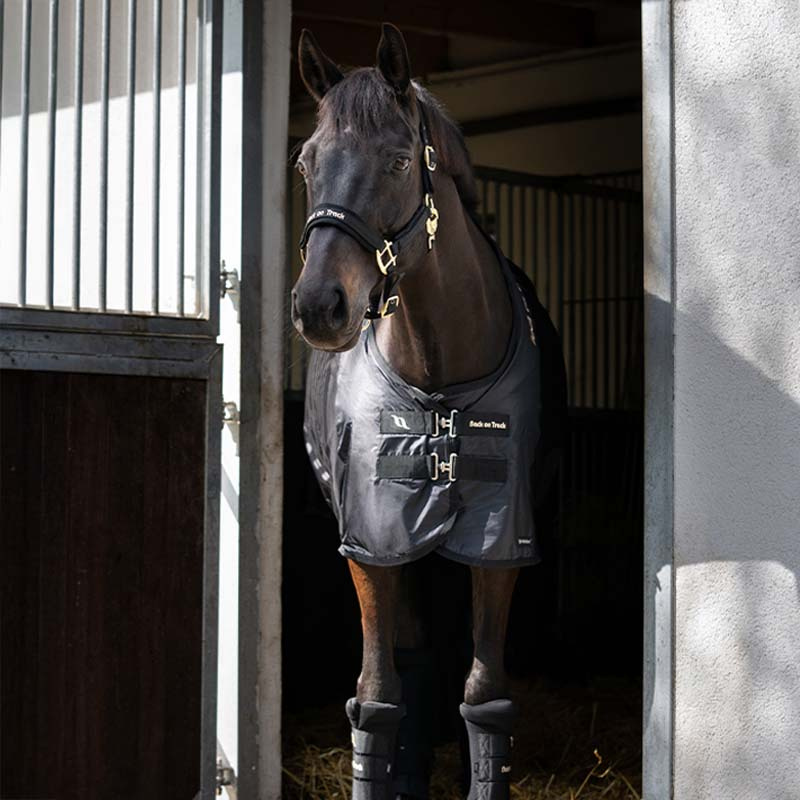 Derka siatkowa Royal Deluxe Czarna