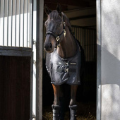 Derka siatkowa Royal Deluxe Czarna Derka siatkowa Royal Deluxe Czarna