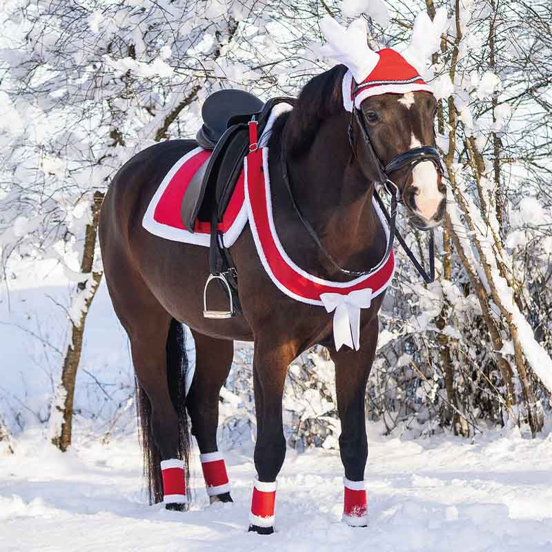 Napierśnik Christmas Czerwony/Biały