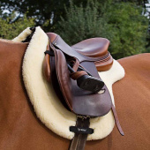 Czaprak islandzki Teddy Nature Czaprak islandzki Teddy Nature