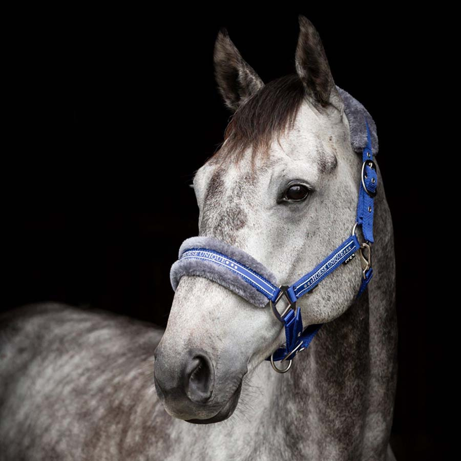 Kantar z futerkiem Royal Blue/Szary