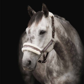 Kantar z futerkiem Brąz/Natural Kantar z futerkiem Brąz/Natural