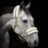 Kantar z futerkiem Oliwkowa zieleń/Natural Kantar z futerkiem Oliwkowa zieleń/Natural